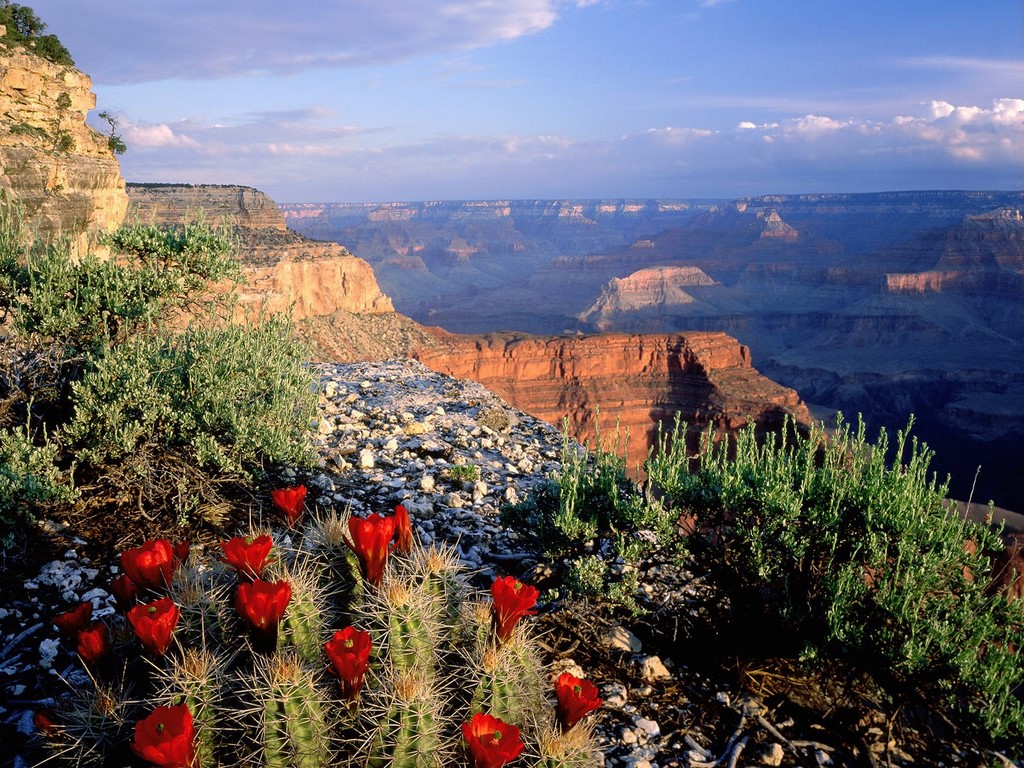 grand-canyon-national-park-arizona
