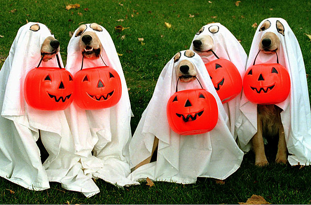 hallowin2