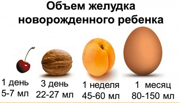 gelydok1