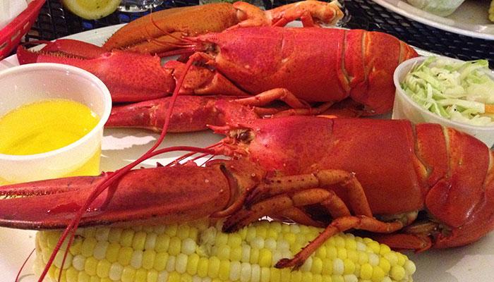 lobster11
