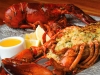stuffedlobster