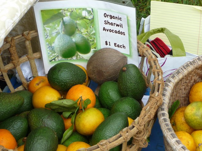 avocado