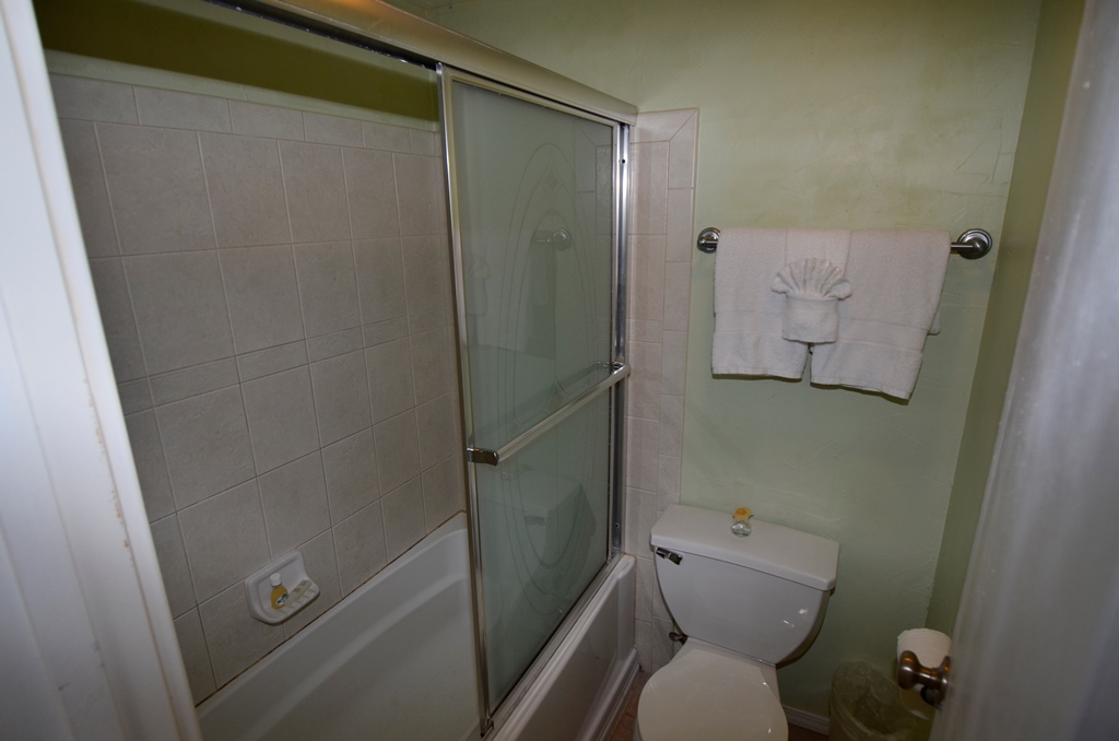 master-bathroom
