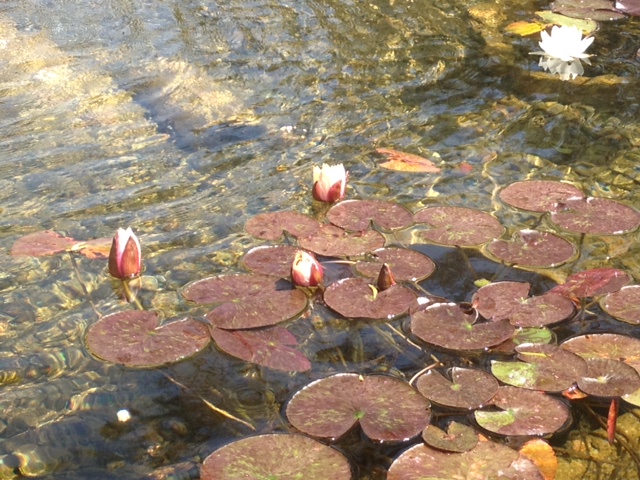 photo-3-copy-4