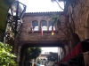 photo-1-copy