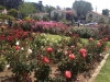 photo-2-copy-6