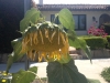 photo-3-copy-5