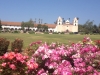 photo-3-copy-6