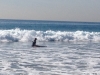 photo-5