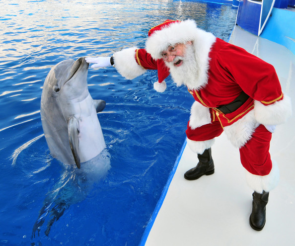 ded-moroz
