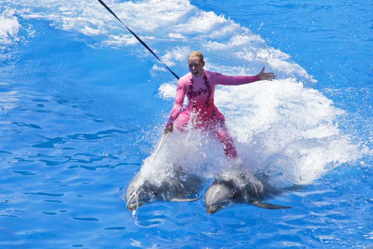 dolphine