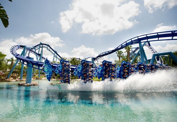 Manta Dips a Wing at SeaWorld Orlando 2