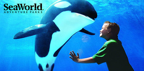seaworld-park