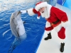 ded-moroz