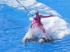 dolphine