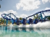 Manta Dips a Wing at SeaWorld Orlando 2