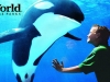 seaworld-park