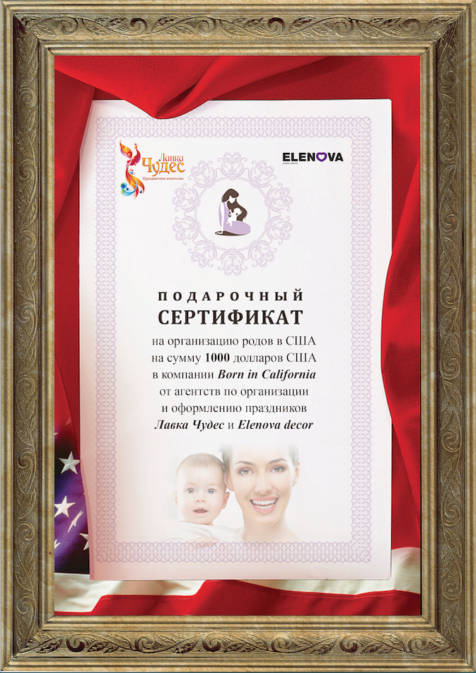 certificat-elenova1000