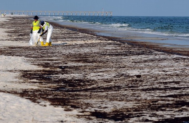 gulf_oil_spill_florida_7_t607