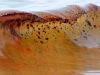 oilspill