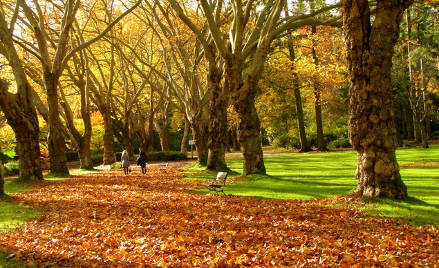 park1