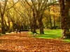 park1