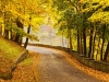 park2
