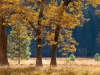 park4