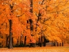park9