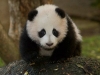 zoo12