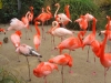 zoo14