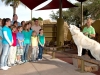 zoo15