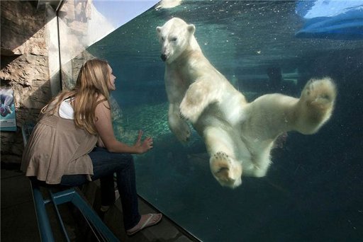 zoo5