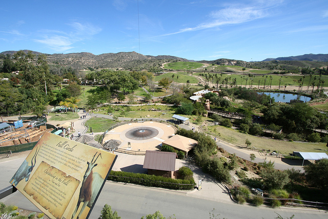 zoo6