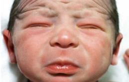 София born-in-california